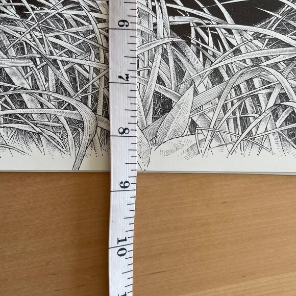 Vintage Illustrations of Small Wild Carnivores Found in France - Picture 9 of 9